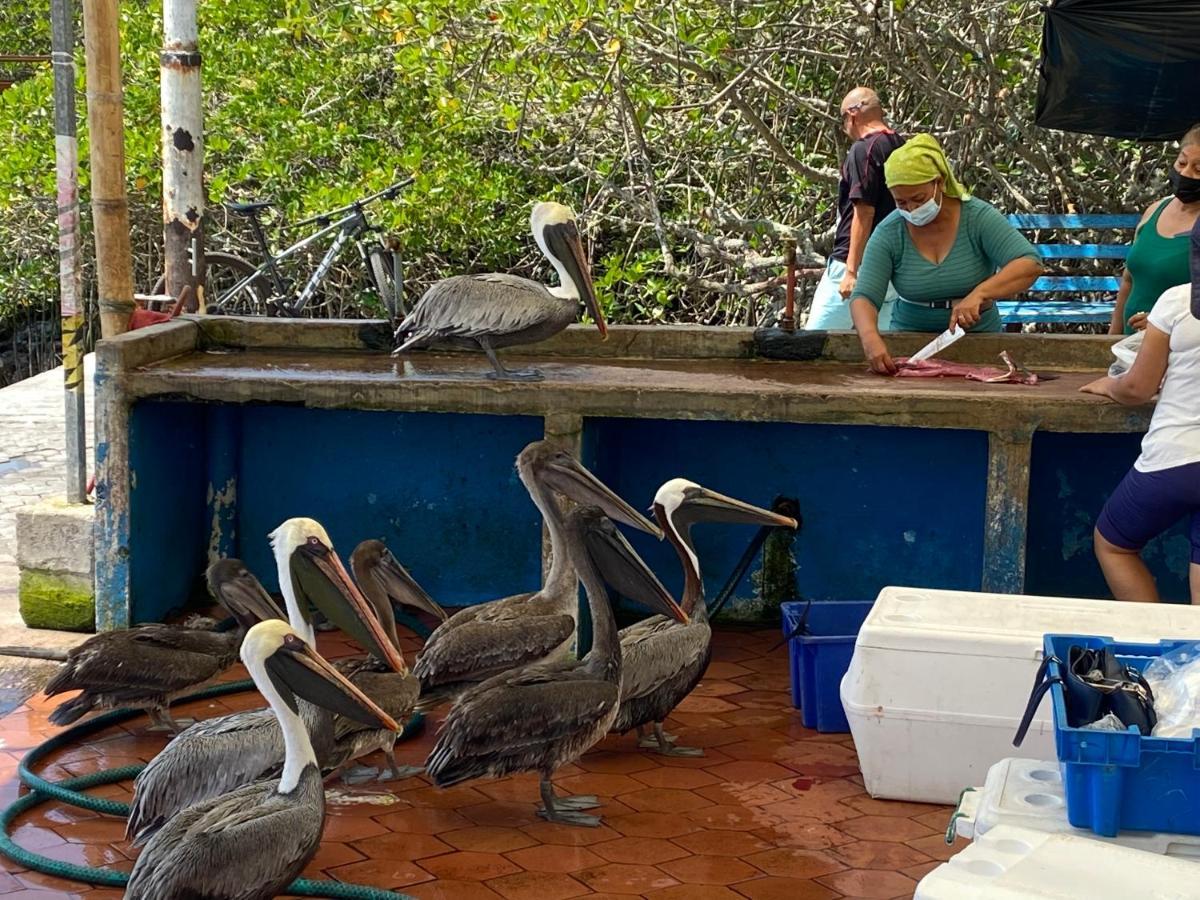 La Peregrina Galapagos B&B Puerto Ayora  Esterno foto